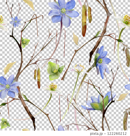 Branch with catkins, spring flowers blue hepatica forget-me-not, white forest anemone primrose, watercolor hand drawn. Seamless pattern botanical illustration isolated on white. Wedding, florist shop 122260212