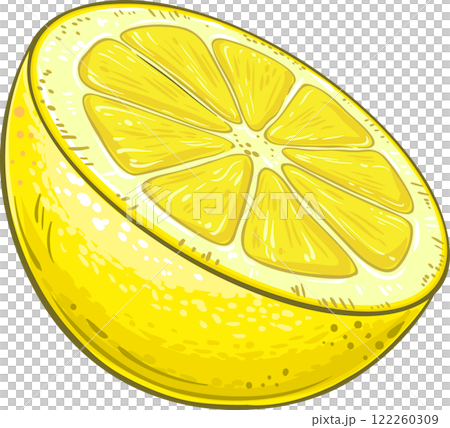 Lemon Fruit Colored Detailed Illustration. Lemon Fruit Colored Detailed Illustration. 122260309