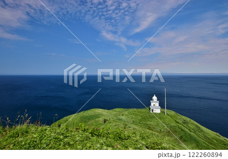 エゾカンゾウ咲き誇る利尻島 122260894