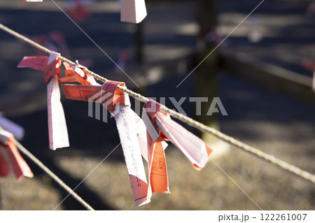 亀戸天神社のおみくじ【神社イメージ】 亀戸天神社のおみくじ【神社イメージ】 122261007