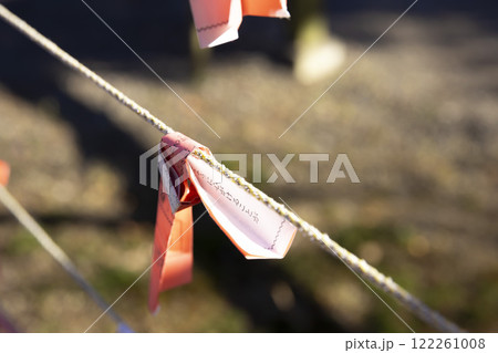 亀戸天神社のおみくじ【神社イメージ】 亀戸天神社のおみくじ【神社イメージ】 122261008