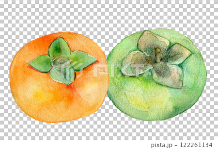 水彩イラスト 柿の実 水彩イラスト 柿の実 122261134