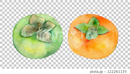 水彩插圖柿子果 122261135