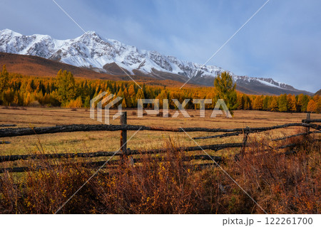 Rustic landscape with autumn trees and snowy mountains 122261700
