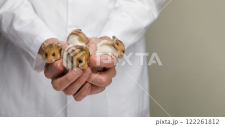 Veterinarian in white uniform holding a cute hamster, animal care and veterinary services concept. 122261812