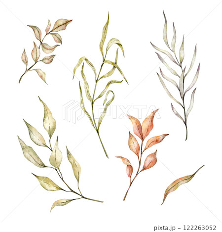 Autumn branches set with yellow and orange leaves on isolated background. Watercolor drawing of Dried leaves, bleached grass for harvest festival invitations or seasonal greeting cards Botanical 122263052