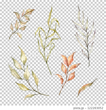 Autumn branches set with yellow and orange leaves on isolated background. Watercolor drawing of Dried leaves, bleached grass for harvest festival invitations or seasonal greeting cards Botanical 122263052