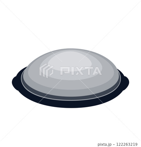 Balancer equipment for body balance training and rehabilitation, Workout ball isolated vector illustration Balancer equipment for body balance training and rehabilitation, Workout ball isolated vector illustration 122263219