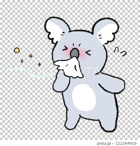 Koala blowing its nose 122264910