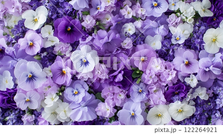 紫の春の花の背景画像 122264921