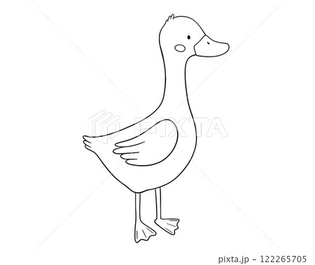 Cute goose character, line art, hand drawn illustration for coloring book or page 122265705