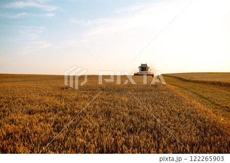Combine harvester harvests grain in the field. Agriculture, gardening or ecology concept. 122265903