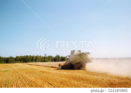 Combine harvester harvests grain in the field. Agriculture, gardening or ecology concept. Combine harvester harvests grain in the field. Agriculture, gardening or ecology concept. 122265905