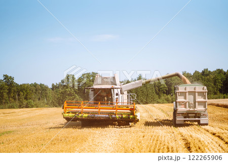 Combine harvester harvests grain in the field. Agriculture, gardening or ecology concept. 122265906