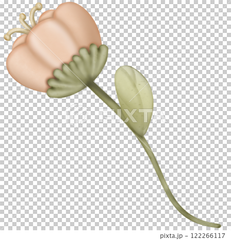 Flower cute pastel color, hand draw for decoration greeting card.  122266117