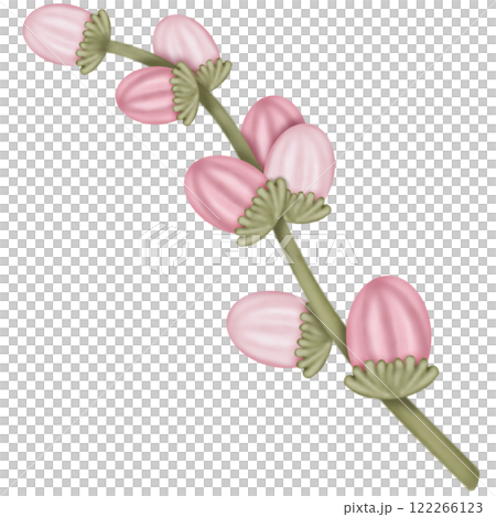 Flower cute pastel color, hand draw for decoration greeting card.  122266123