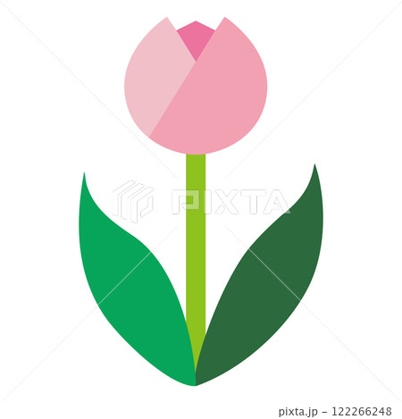 ピンク色のチューリップのシンプルでフラットなイラスト　白背景 122266248