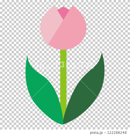 ピンク色のチューリップのシンプルでフラットなイラスト　白背景 122266248