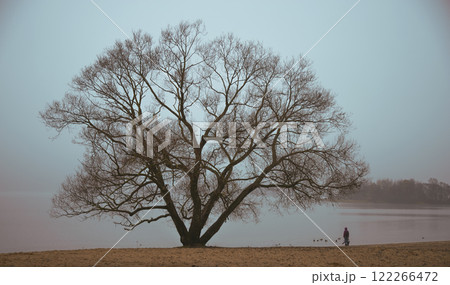 rainy late autumn. woman with child by the lake rainy late autumn. woman with child by the lake 122266472
