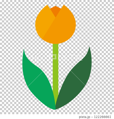 橙色鬱金香白色背景的簡單平面插圖 122266661
