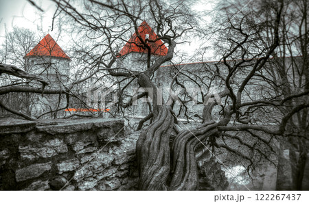 depressive gothic landscape of medieval castles of Tallinn. depressive gothic landscape of medieval castles of Tallinn. 122267437