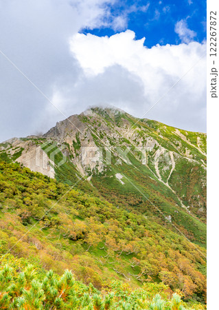 大聖寺平から見上げる荒川岳（前岳）　南アルプス　悪沢岳と荒川岳登山 122267872