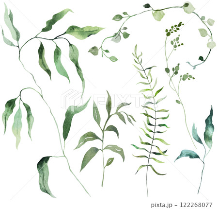 Watercolor twigs with  green leaves isolated illustration, botanical summer wedding element Watercolor twigs with  green leaves isolated illustration, botanical summer wedding element 122268077