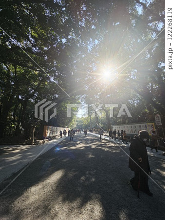 太陽の光が差し込む散歩道 122268119