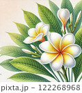 トロピカルなイメージ 122268968