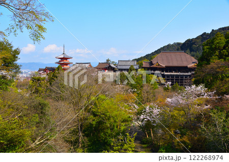 春　清水寺　全景 122268974