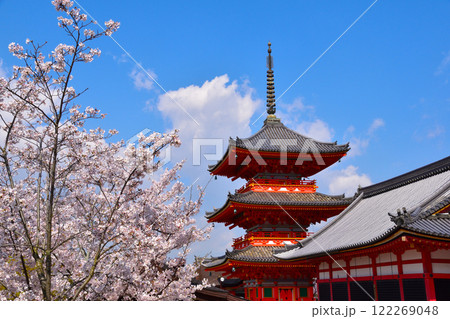春 桜 清水寺 春 桜 清水寺 122269048