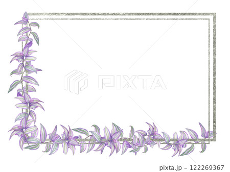 Watercolor purple green tradescantia branches silver framed illustration. Tropical delicate spiderwort creeper house plant border with empty space for text. For greeting cards, invitation 122269367