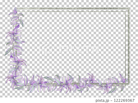 Watercolor purple green tradescantia branches silver framed illustration. Tropical delicate spiderwort creeper house plant border with empty space for text. For greeting cards, invitation 122269367