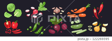 Vegetable slice. Onion, carrot, pepper and cucumber. Chili and garlic. Icon vegetables farm cooking. Agriculture vegan, healthy food, vegetarian salad cutting. Vector cartoon tidy flat isolated set 122269395