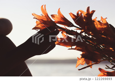 Orange lily buds in a woman's hand. Gardener plucks flowers in the garden. Florist chooses flowers to form a bouquet. Floristry, horticulture hobby. 122269893