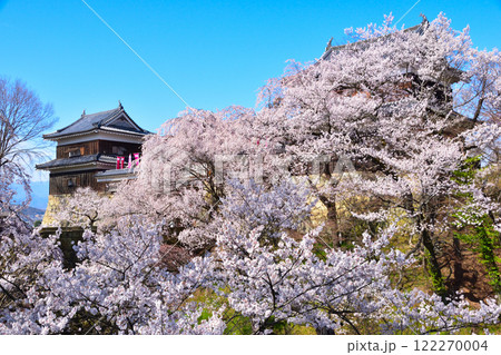 春 桜 上田城 南櫓 春 桜 上田城 南櫓 122270004