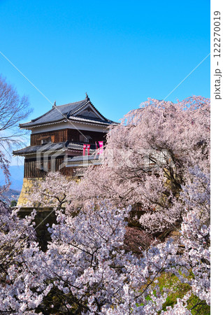 春　桜　上田城　南櫓 122270019