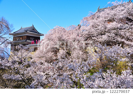 春　桜　上田城　南櫓 122270037