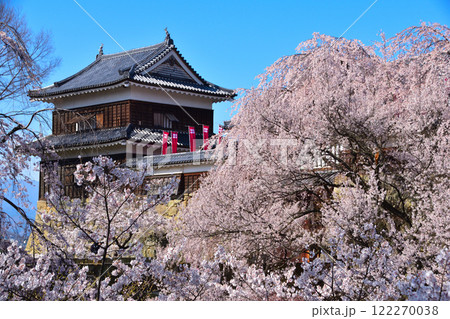 春　桜　上田城　南櫓 122270038