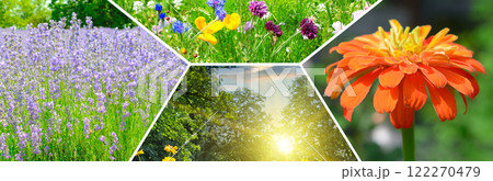Colorful collage of flowers garden. 122270479