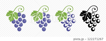 Grape bunch with grape leaf vector illustration 122271267