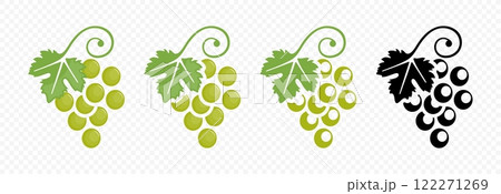 Grape bunch with grape leaf vector illustration 122271269