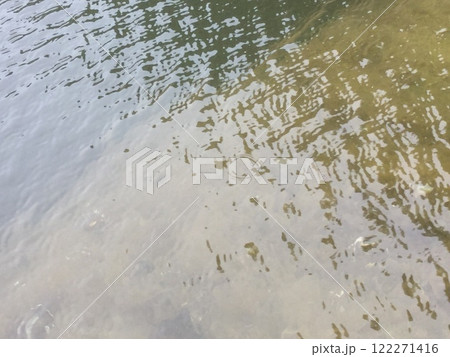 鎌倉＆江ノ島探索　2023年版　Tidepool 122271416