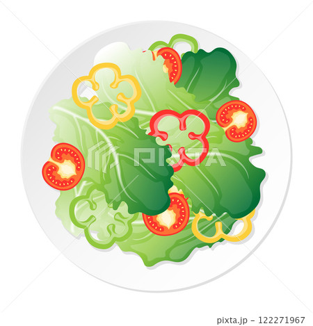 A plate of salad green vegetable leaf sliced tomato and sweet pepper cartoon illustration  122271967