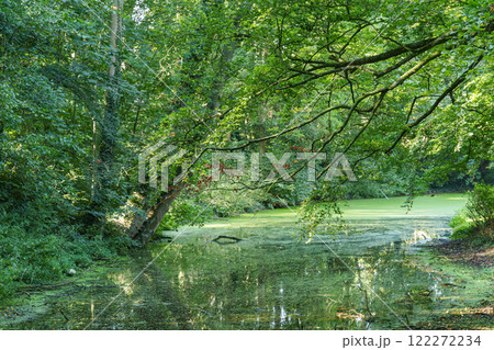 eastern frisia at the north sea in germany 122272234