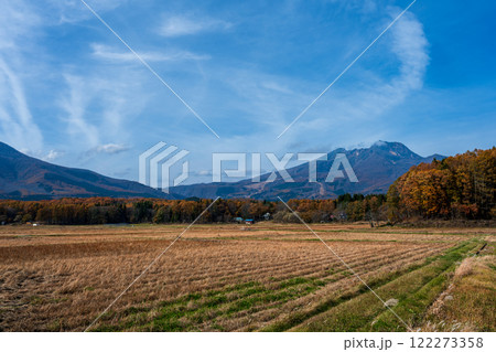 妙高山を望む（収穫後の田園風景）秋 122273358