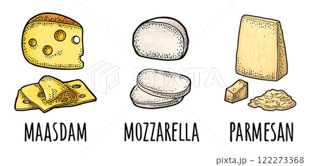 Pieces of cheese maasdam, mozzarella, parmesan. Vector vintage engraving 122273368
