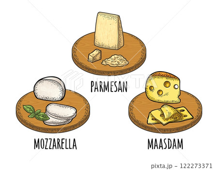 Pieces cheese maasdam, mozzarella, parmesan on wood board. Vector engraving 122273371