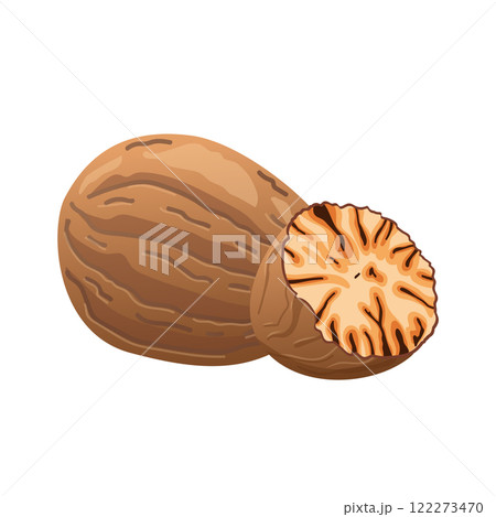 Nutmeg in flat design. Spice for baking and cooking, brown aromatic dry nut. Vector illustration isolated. Nutmeg in flat design. Spice for baking and cooking, brown aromatic dry nut. Vector illustration isolated. 122273470