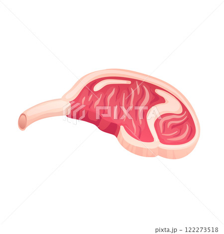 Pork meat on bone in flat design. Uncooked food, deli butcher product. Vector illustration isolated. Pork meat on bone in flat design. Uncooked food, deli butcher product. Vector illustration isolated. 122273518